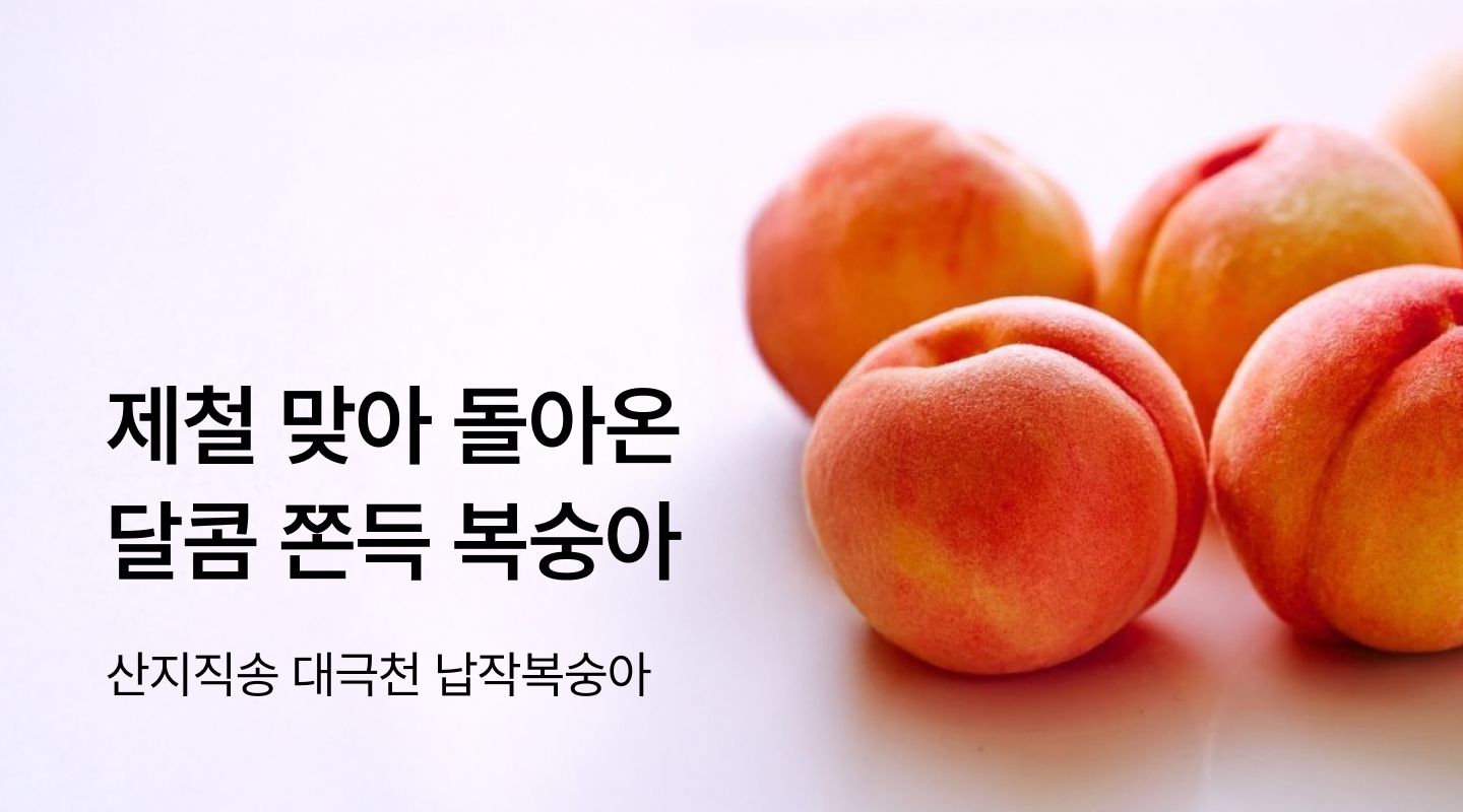  프로젝트 안내 이미지 입니다.