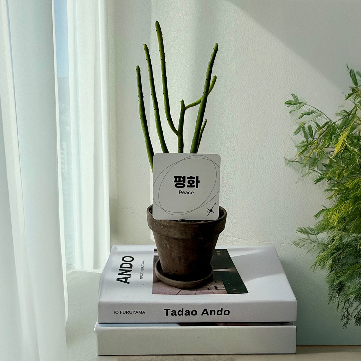 프로젝트 커버 이미지