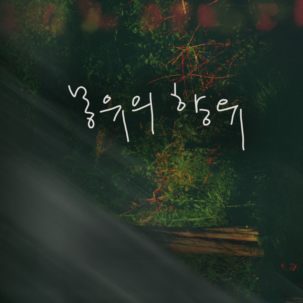 프로젝트 커버 이미지