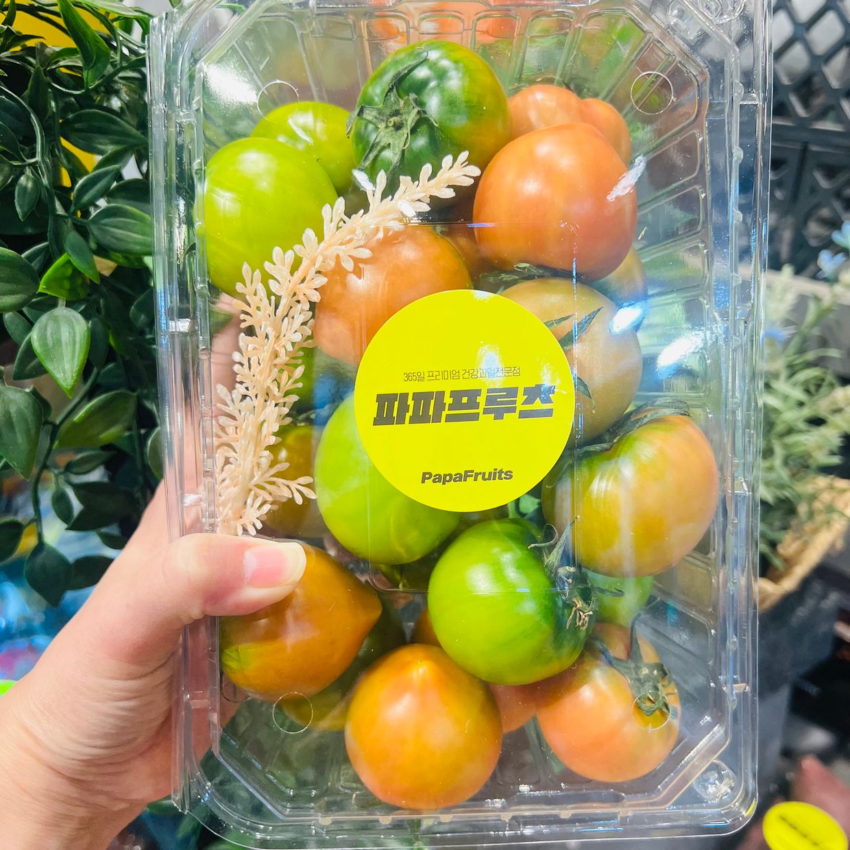 프로젝트 커버 이미지