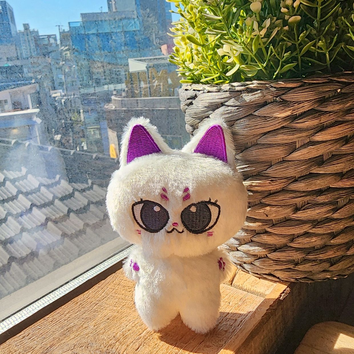 프로젝트 커버 이미지