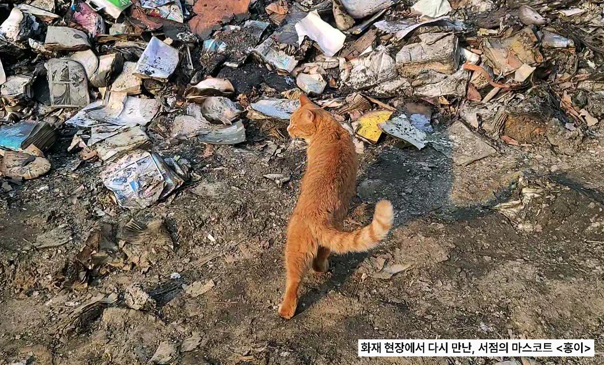 새한기획 이미지