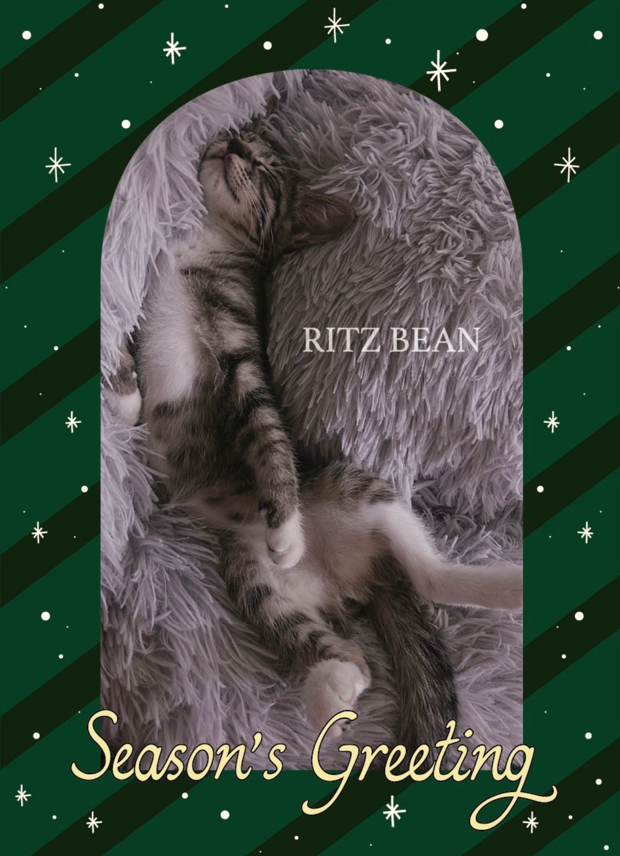 크리스마스를 더 화려하게 빛내줄 <봉봉초콜릿 & 마카롱> | 텀블벅 - 크리에이터를 위한 크라우드펀딩