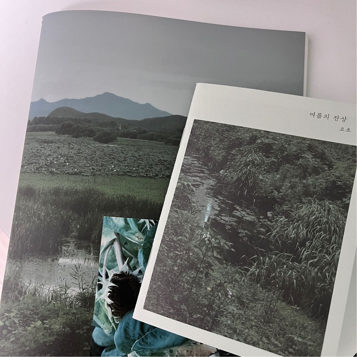 review-image