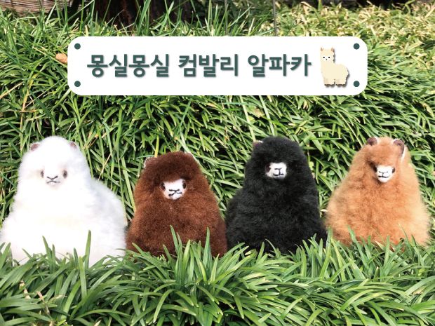 프로젝트 커버 이미지