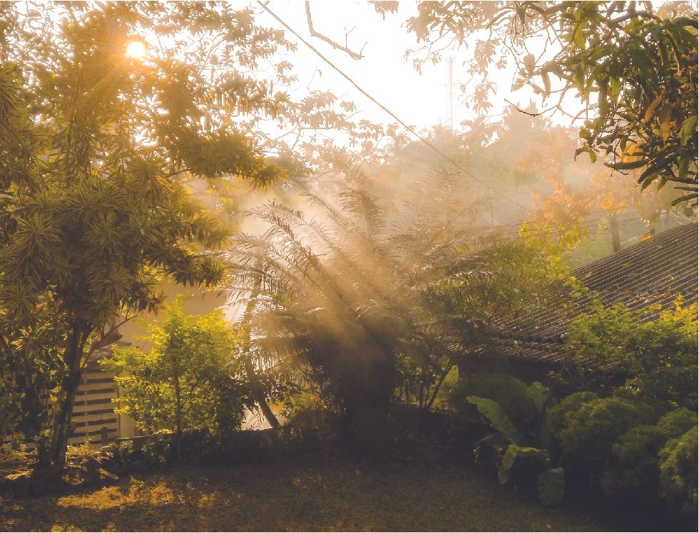 프로젝트 커버 이미지