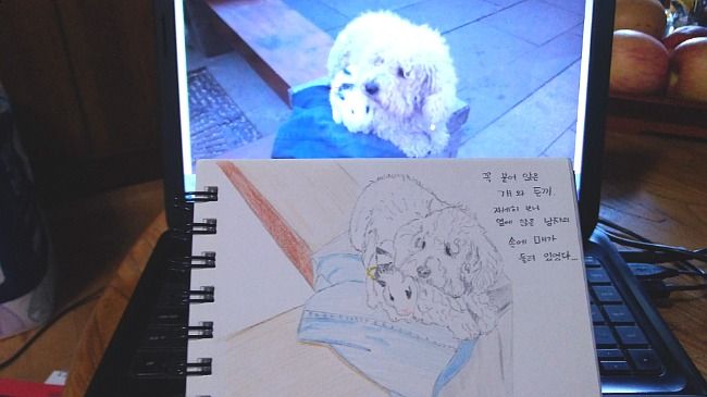 기본 프로젝트 커버 이미지