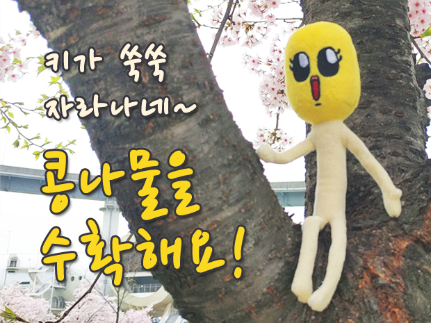 기본 프로젝트 커버 이미지