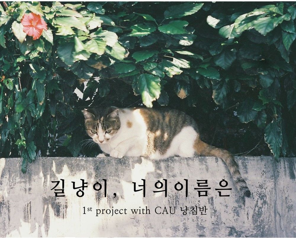 프로젝트 커버 이미지