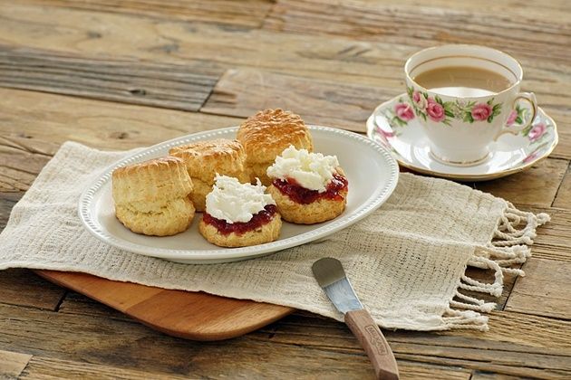 기본 프로젝트 커버 이미지