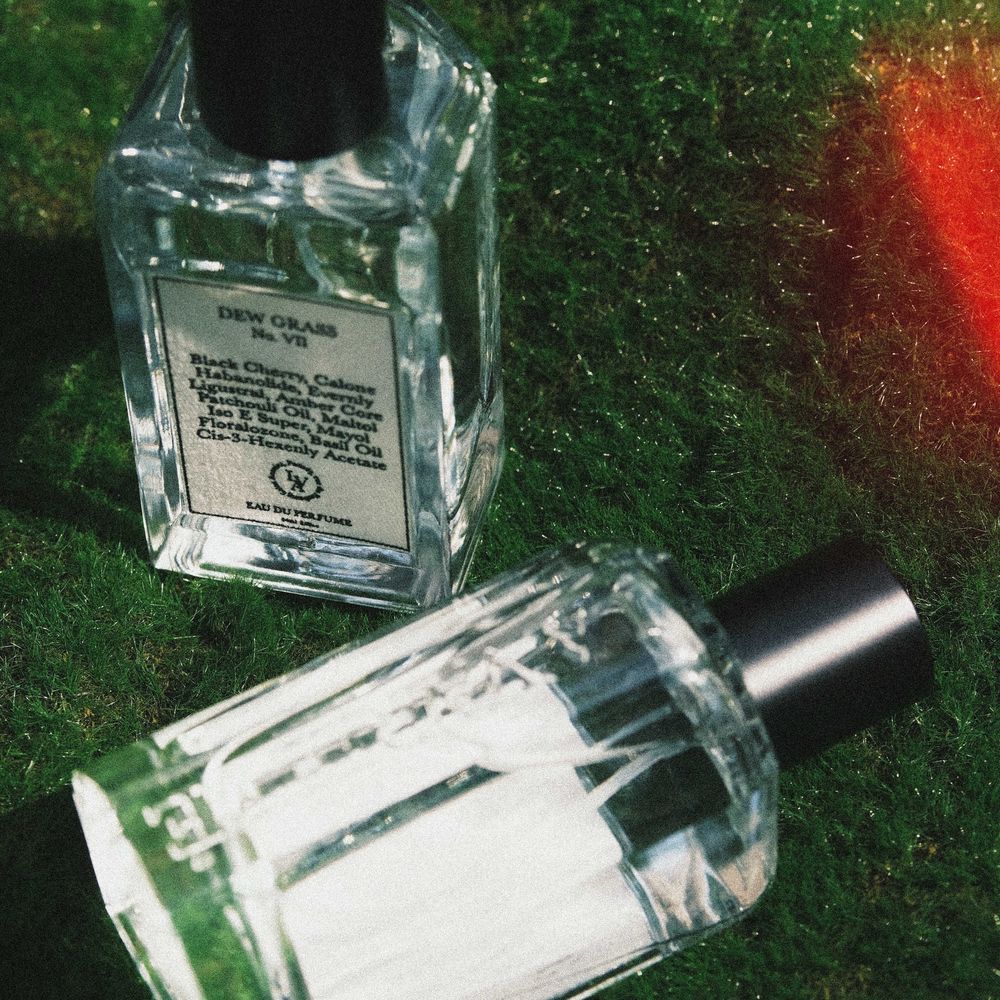 도심의 이슬 맺힌 잔디밭 DEW GRASS | 텀블벅 - 크리에이터를 위한 크라우드펀딩