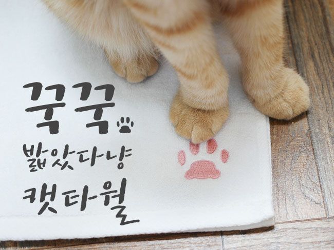 프로젝트 커버 이미지