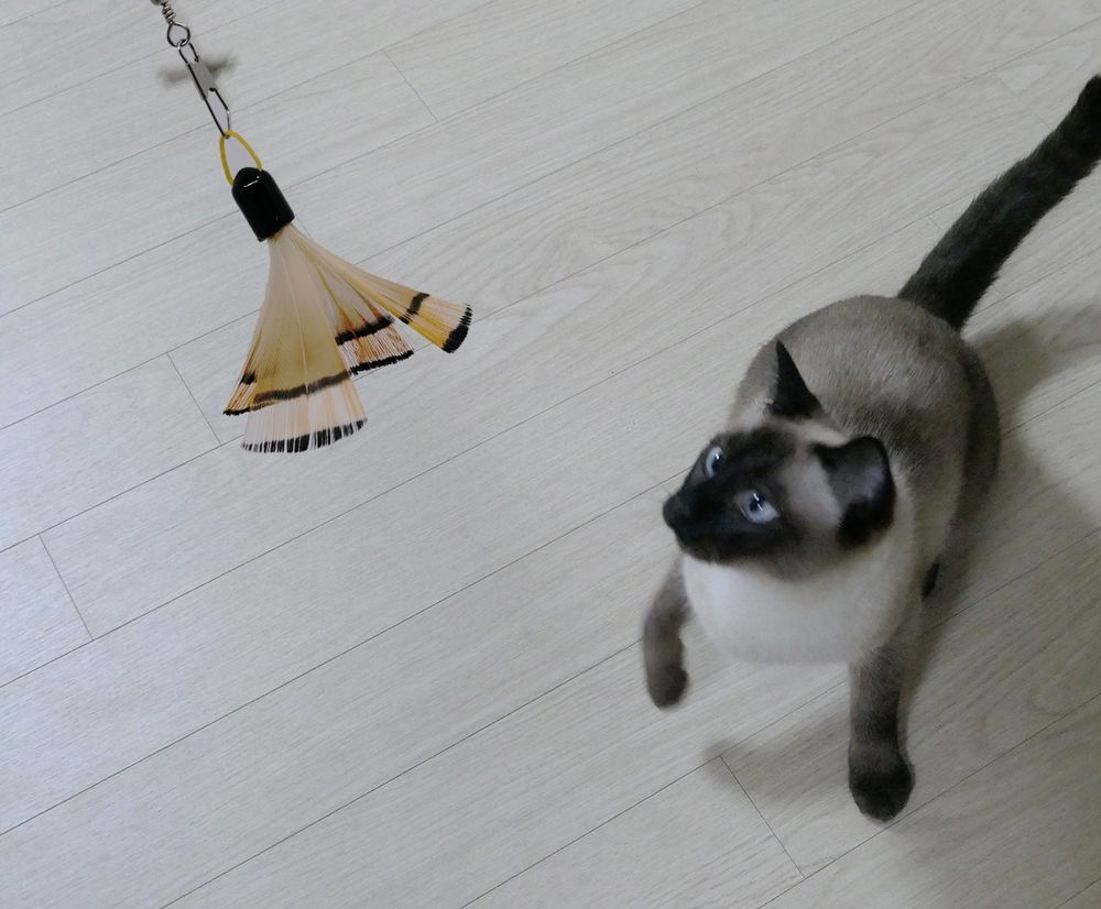 프로젝트 커버 이미지