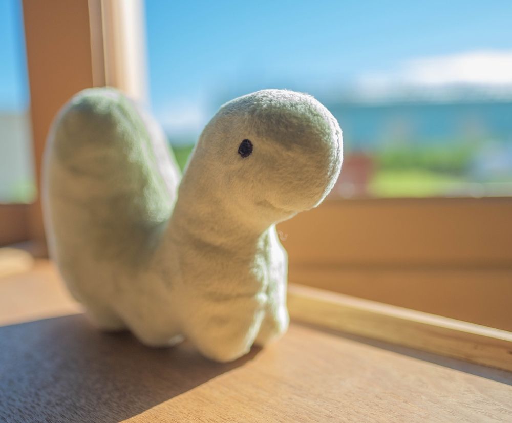 프로젝트 커버 이미지