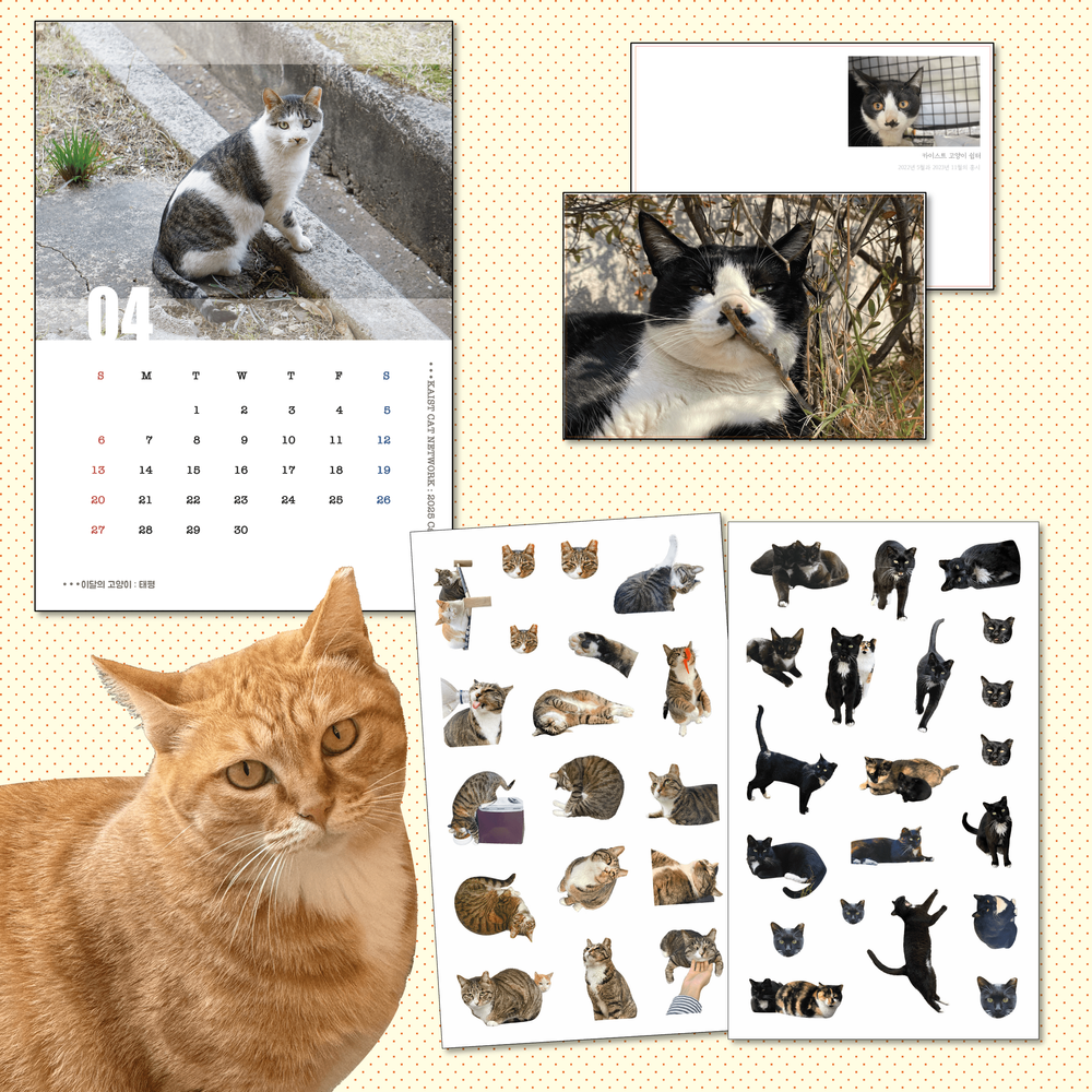 프로젝트 커버 이미지