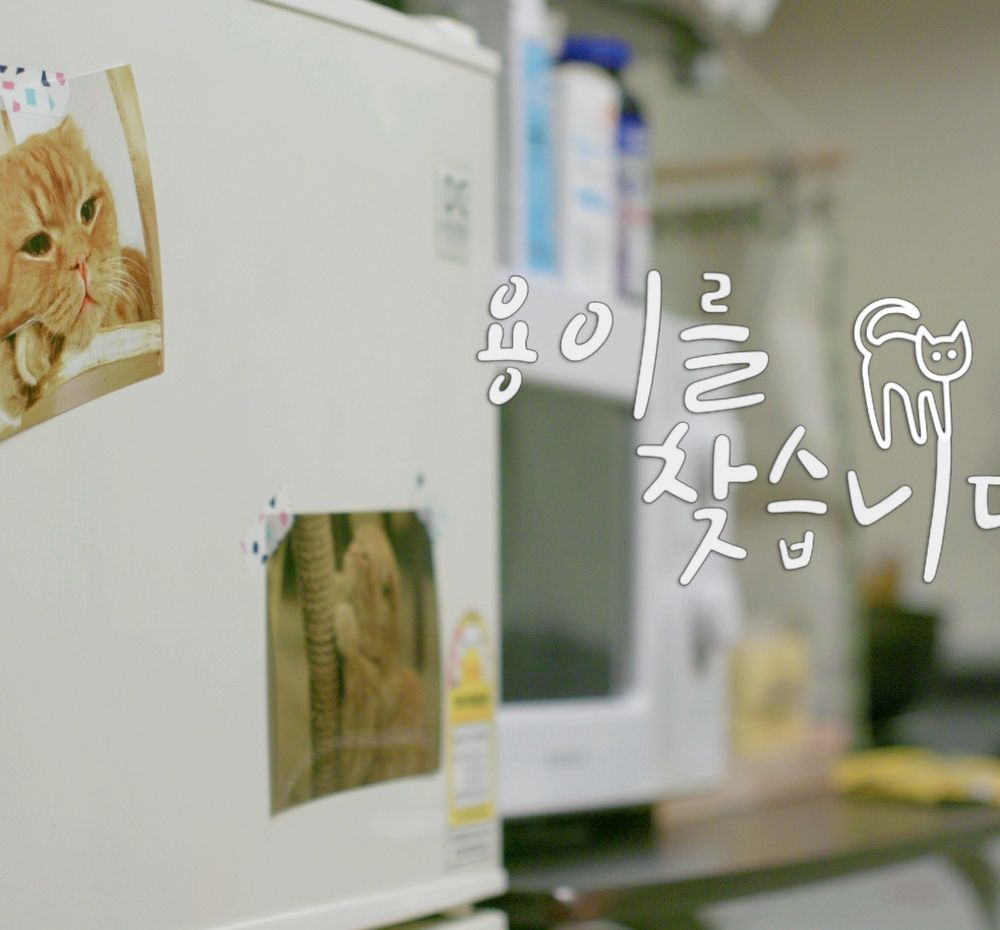 기본 프로젝트 커버 이미지