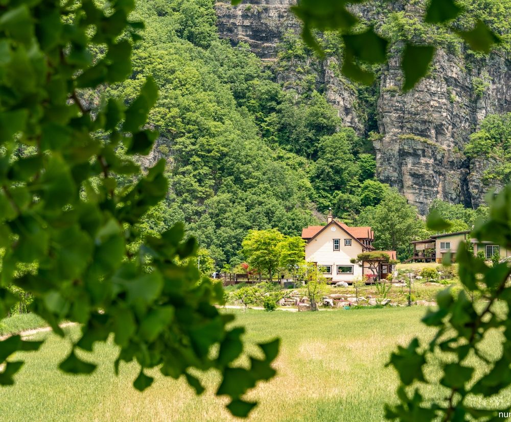 프로젝트 커버 이미지