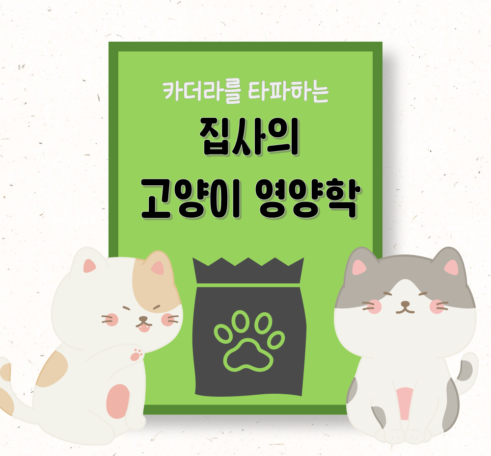 프로젝트 커버 이미지