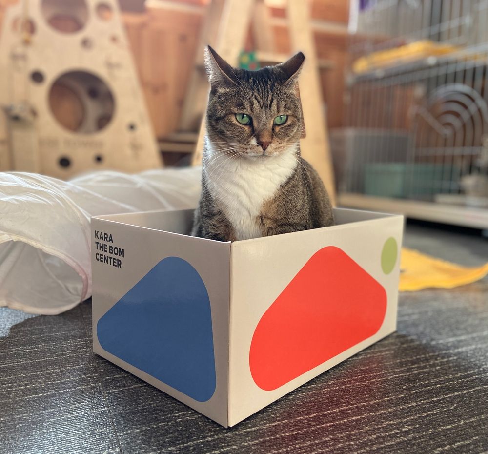 기본 프로젝트 커버 이미지