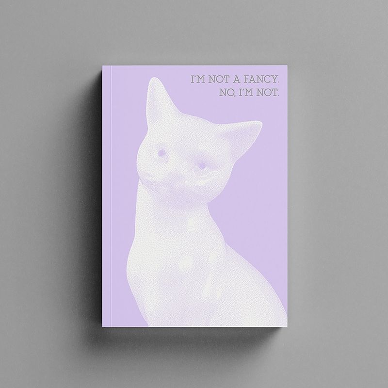 I`M NOT A FANCY. NO, I`M NOT.