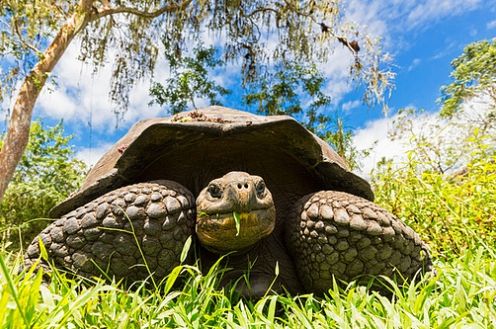 프로젝트 커버 이미지