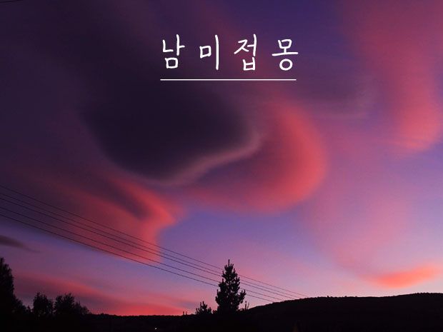 프로젝트 커버 이미지