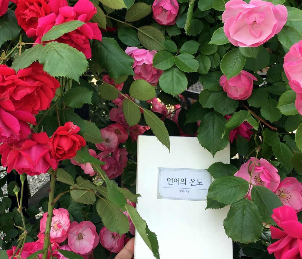 프로젝트 커버 이미지