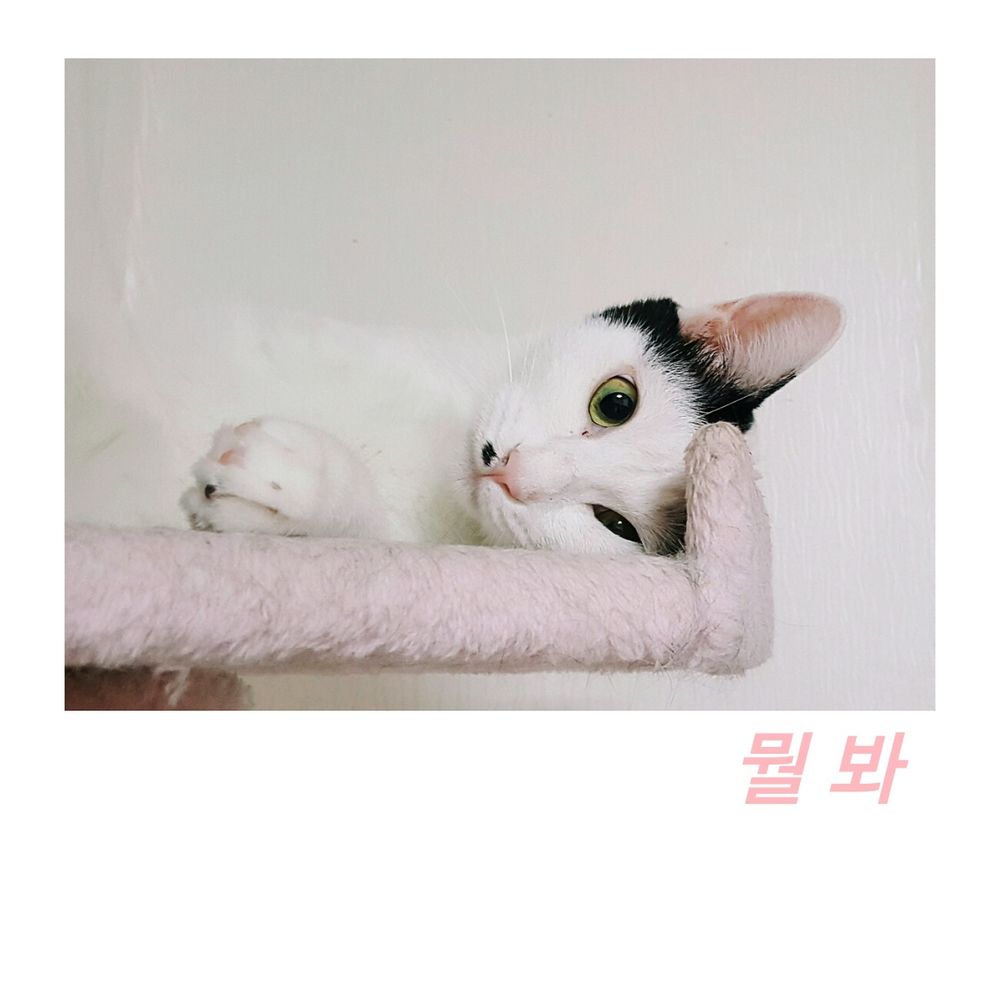 프로젝트 커버 이미지