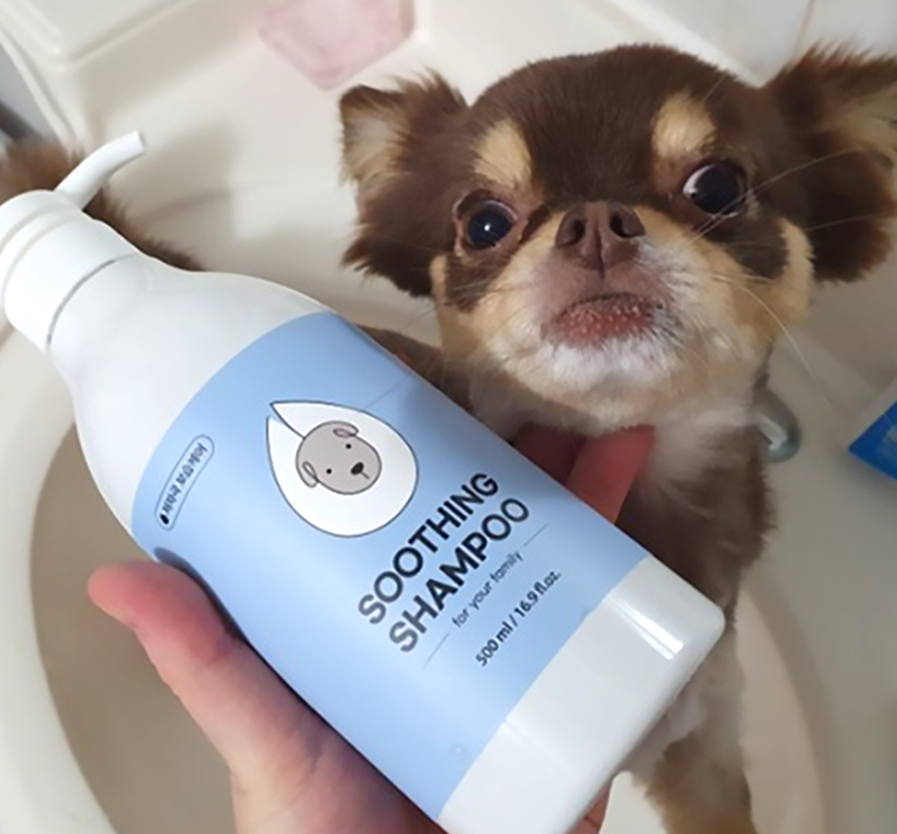 기본 프로젝트 커버 이미지