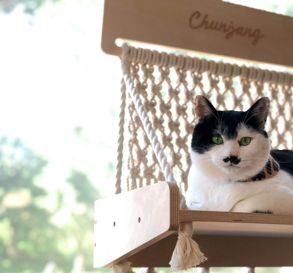 프로젝트 커버 이미지