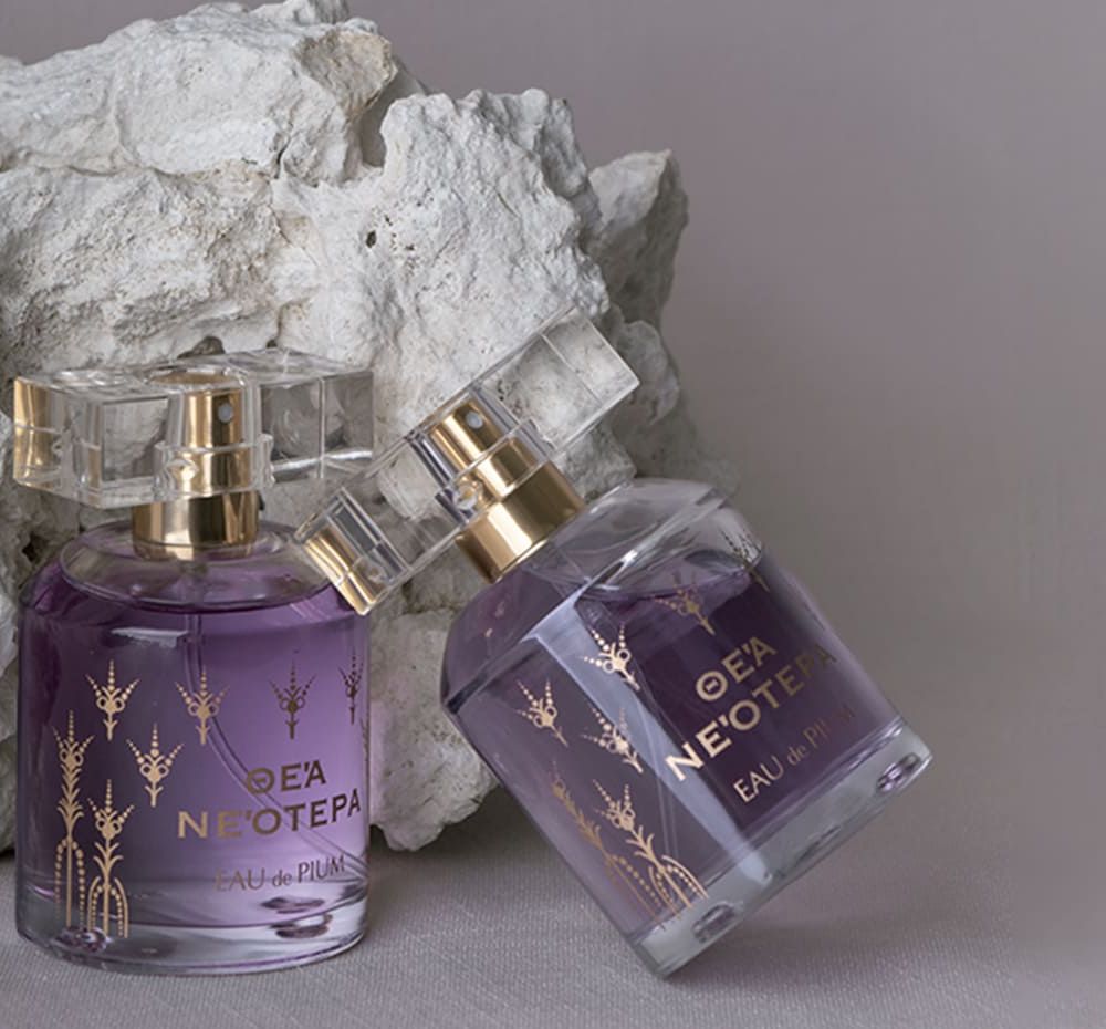 기본 프로젝트 커버 이미지