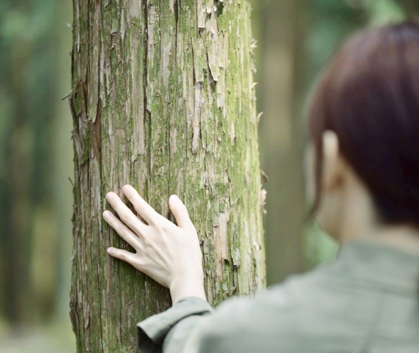프로젝트 커버 이미지