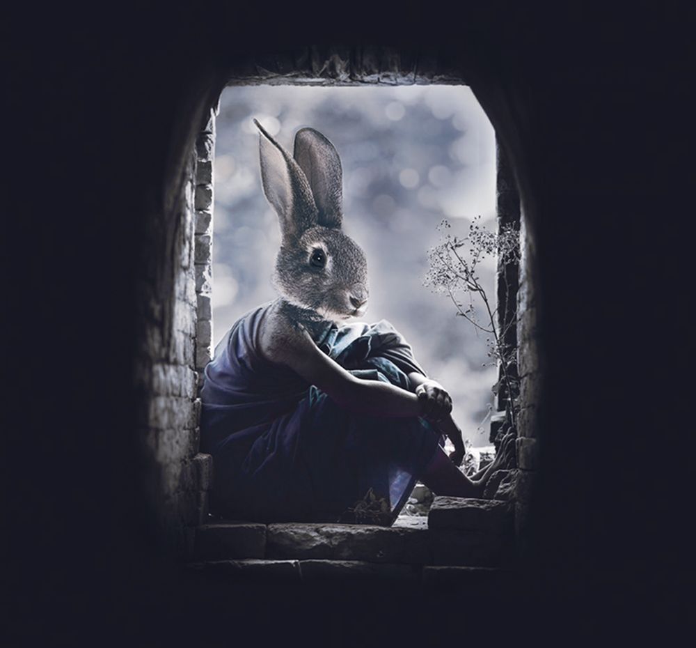 프로젝트 커버 이미지