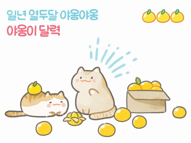 프로젝트 커버 이미지