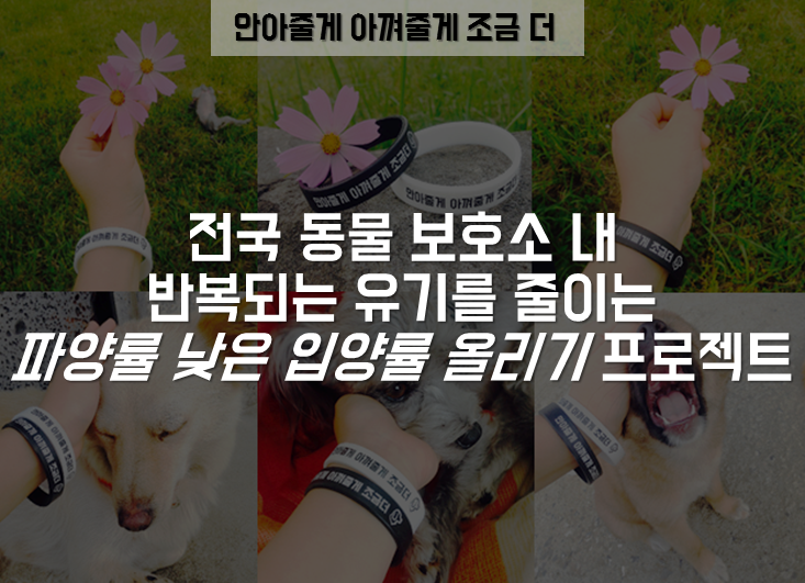 프로젝트 커버 이미지