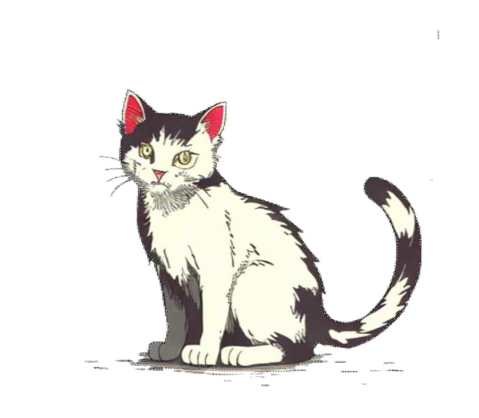 프로젝트 커버 이미지