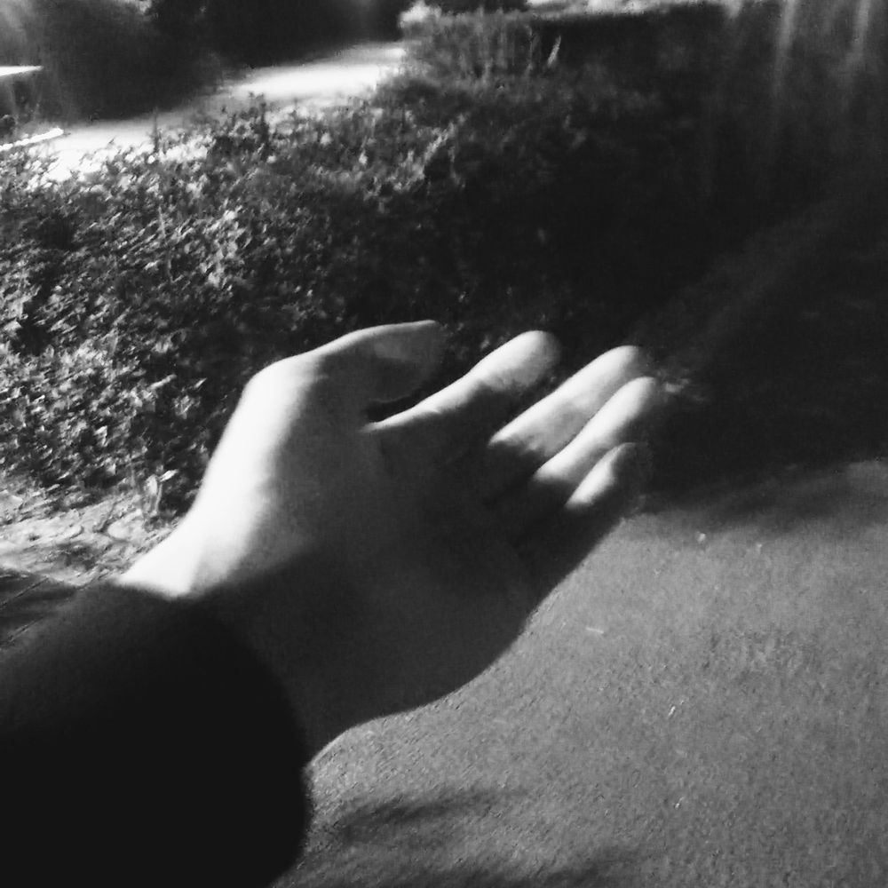 기본 프로젝트 커버 이미지