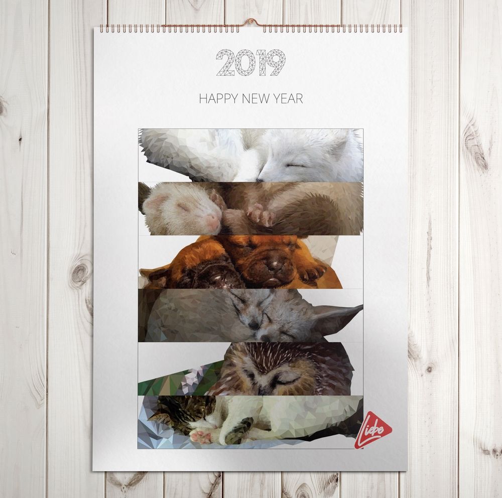 프로젝트 커버 이미지