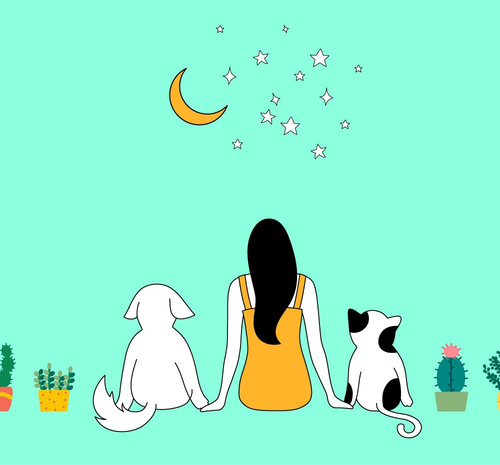 기본 프로젝트 커버 이미지