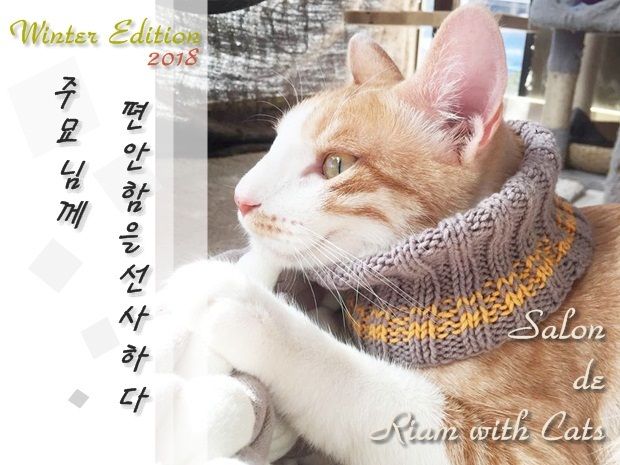 프로젝트 커버 이미지