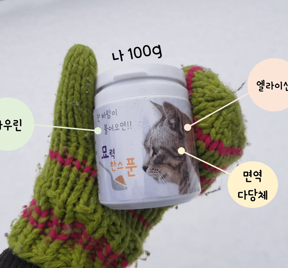 기본 프로젝트 커버 이미지