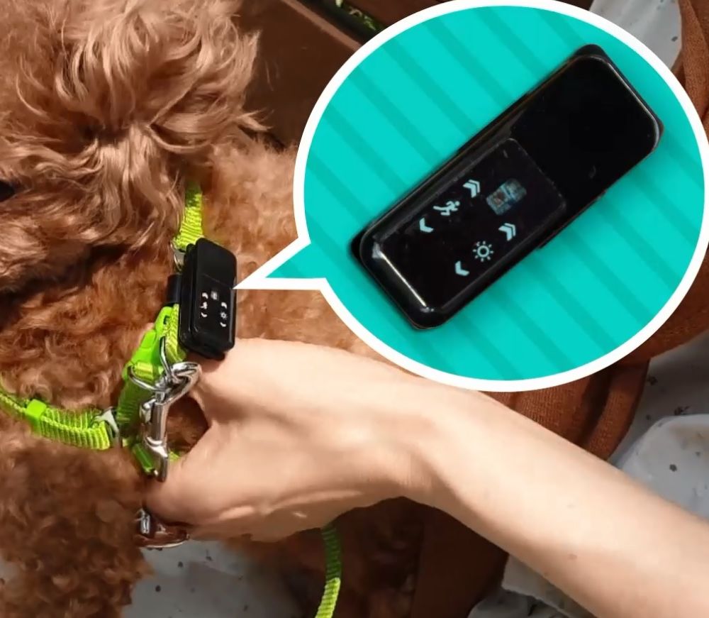 기본 프로젝트 커버 이미지