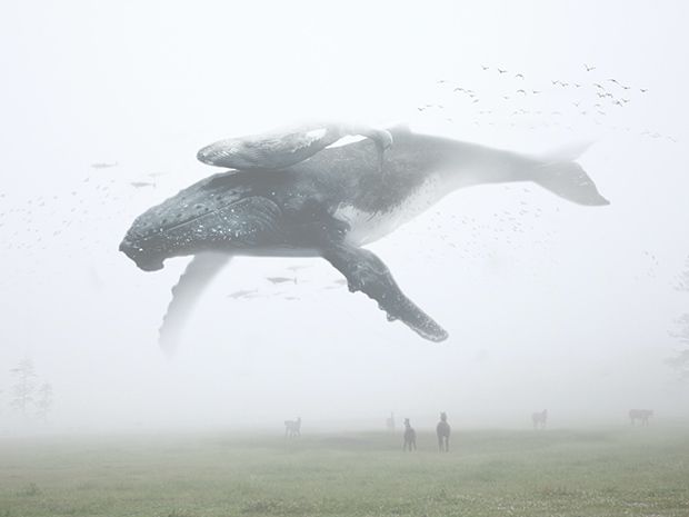 프로젝트 커버 이미지