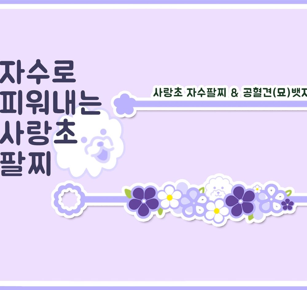 프로젝트 커버 이미지