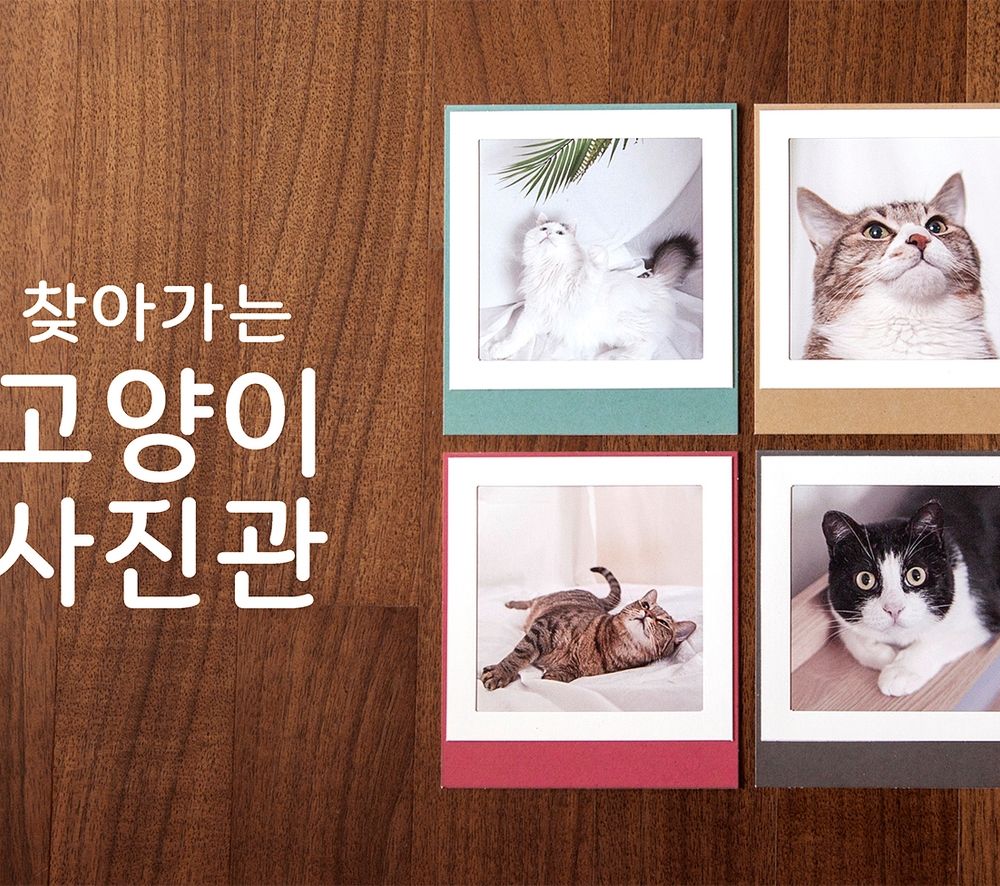 프로젝트 커버 이미지