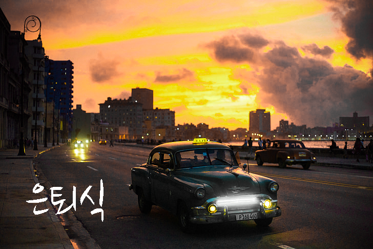 프로젝트 커버 이미지