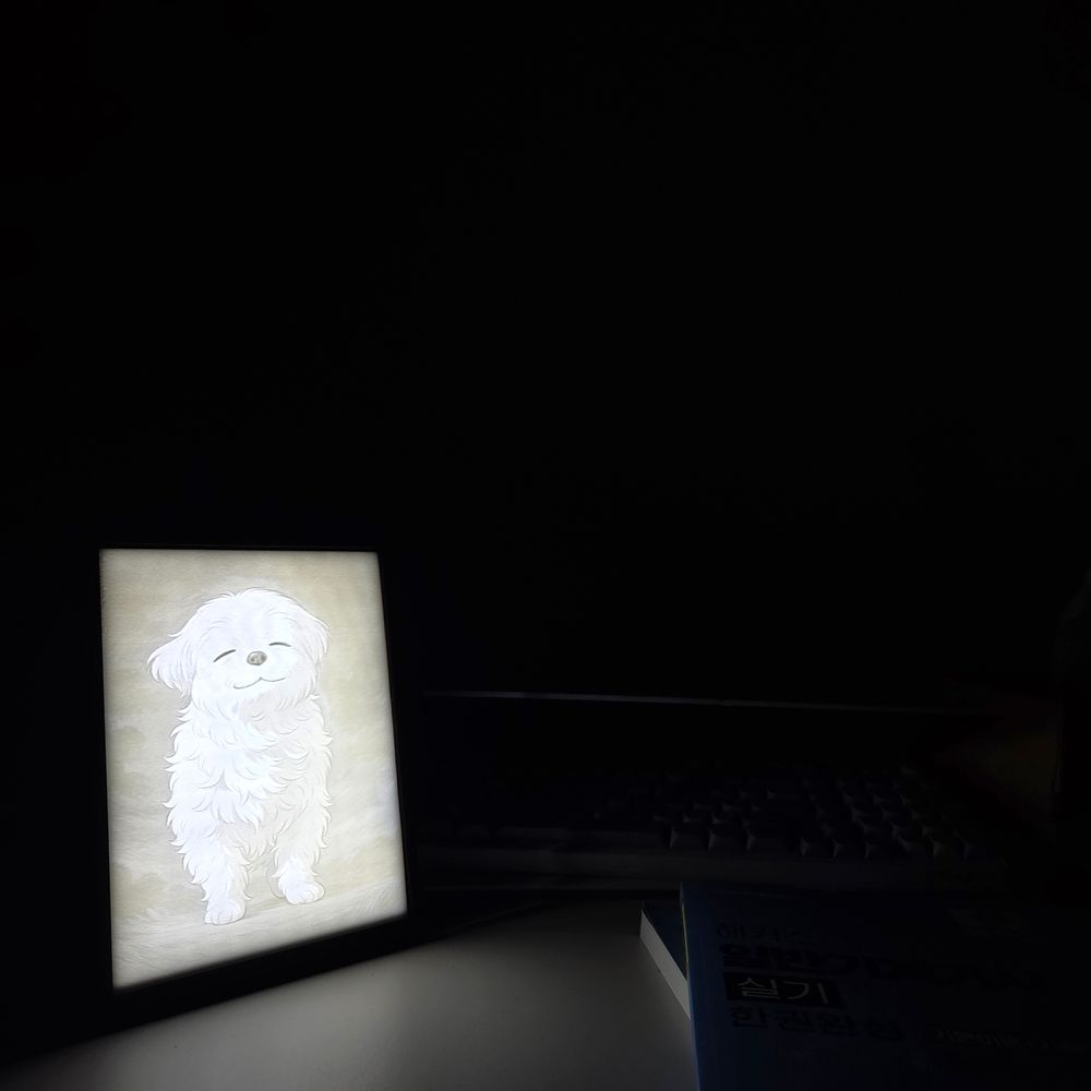 기본 프로젝트 커버 이미지