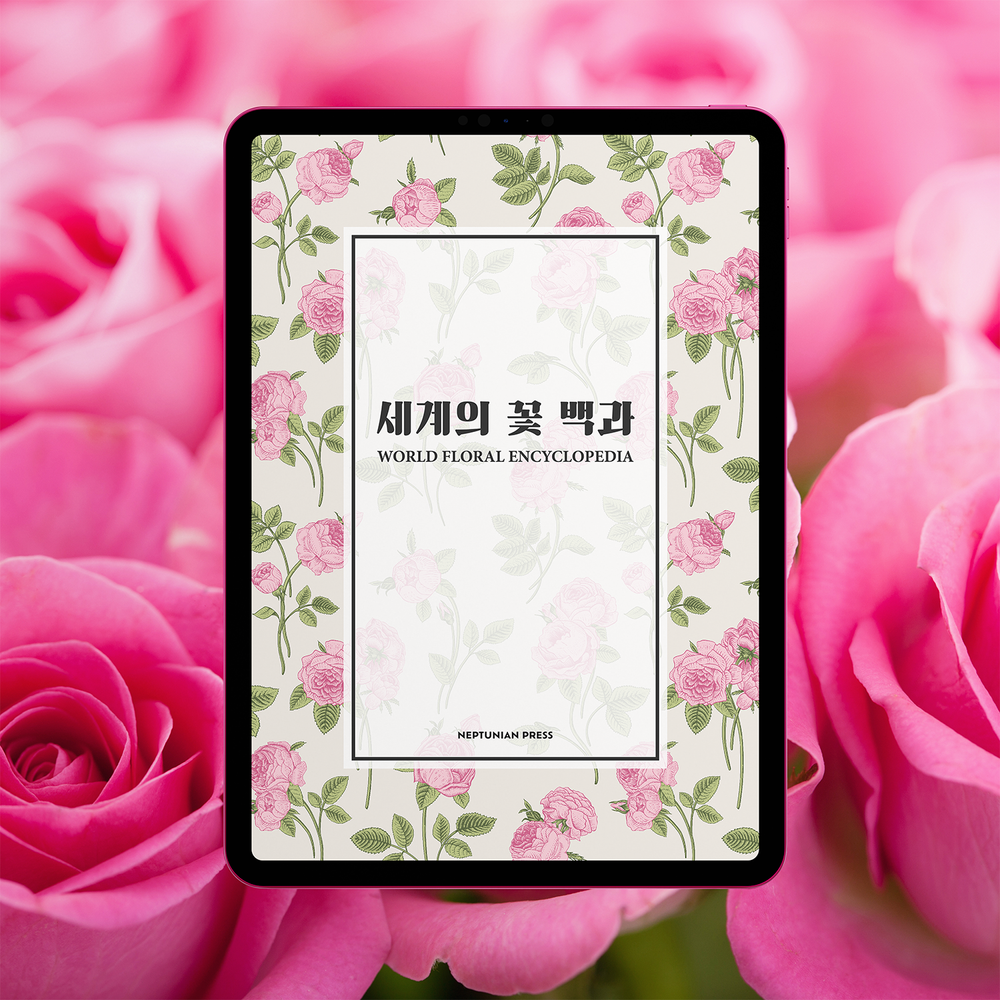 프로젝트 커버 이미지