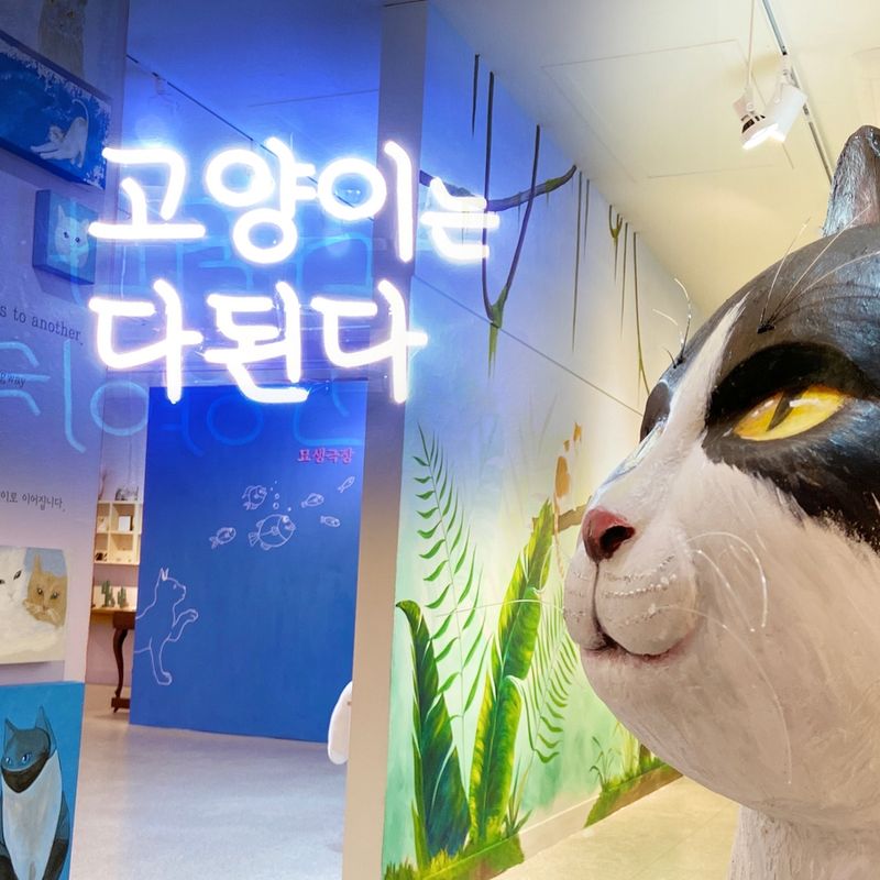 '고양이는 다된다' 진주 展