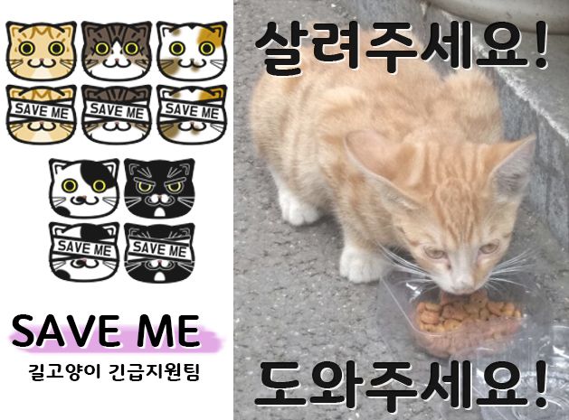 프로젝트 커버 이미지